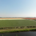 DSC00383